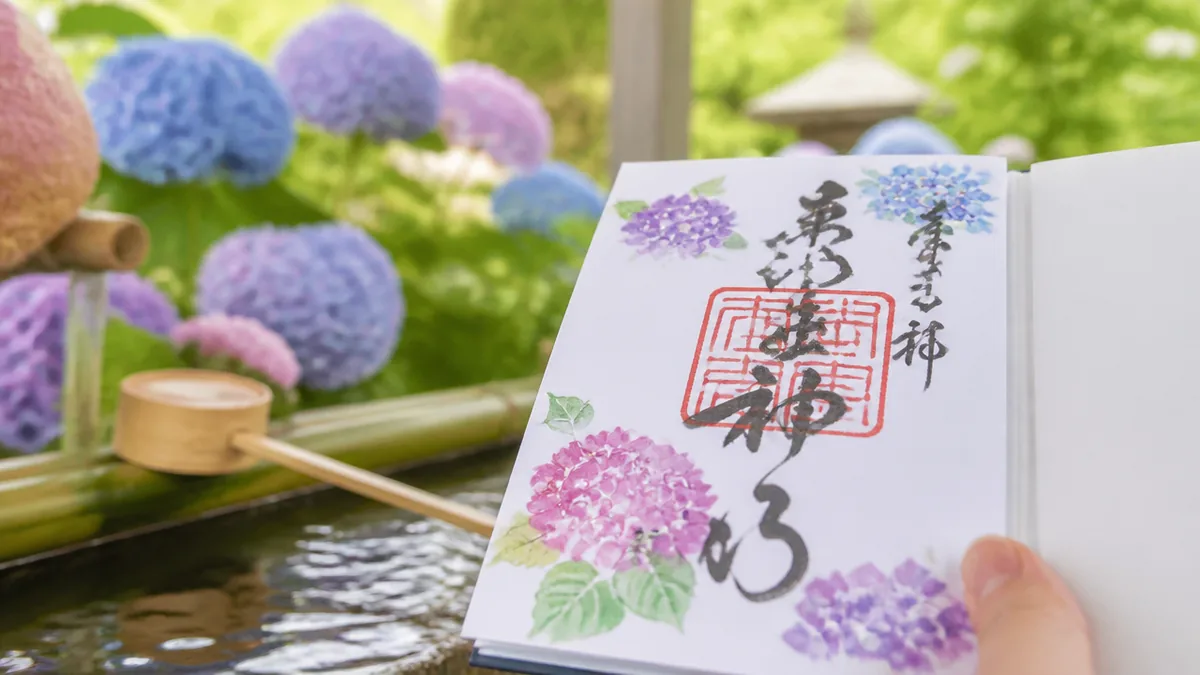 あじさい御朱印とは？｜通常の御朱印との違いと3つの魅力の解説画像