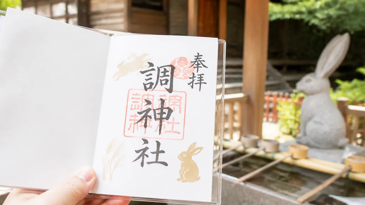 すでに持っている方へ｜保管方法と今後の楽しみ方の解説画像